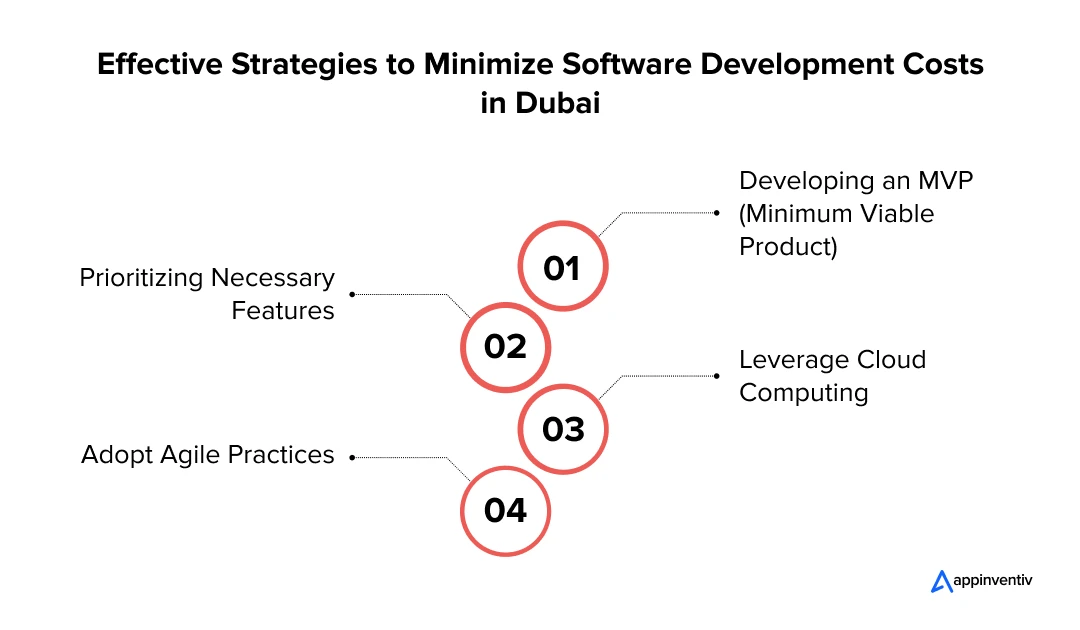 Optimizing Expenses for Software Development in Dubai
