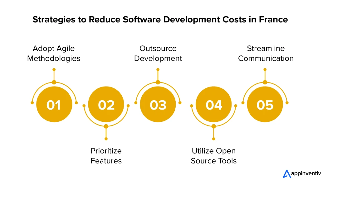 Strategies to Reduce Software Development Costs in France