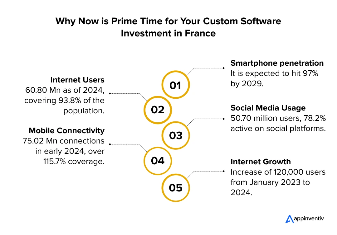 Reasons Why Now is Prime Time for Your Custom Software Investment in France