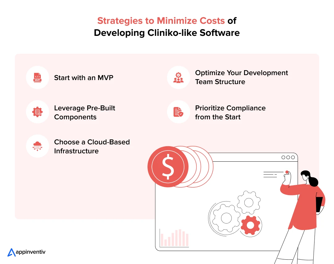 Strategies to Minimize Costs of Developing Cliniko-like Software 